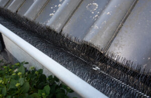 Dakgootborstel in dakgoot