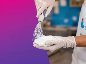 Professionele vleermuiswerende borstels met garantiebewijs en kwaliteitscertificaat