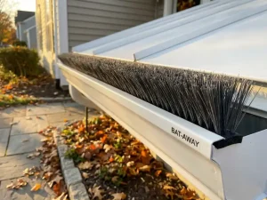 Witte dakgoot met vleermuis-afwerende borstel, herfstbladeren aan voet van goed onderhouden huis