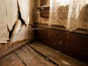 Versleten Victoriaanse woonkamerhoek met afbladderende behang, verweerde houten vloer en tekenen van ongedierte