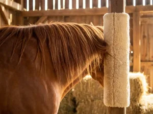 Kastanjekleurig paard wrijft zacht tegen gevoerde stalpost, glanzende manen in warme stalling met hooibalen op achtergrond