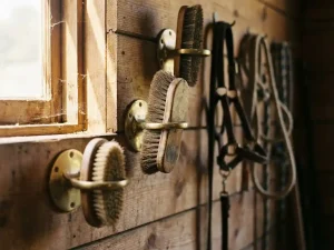 Drie paardenborstels in houders op verschillende hoogtes aan houten stalwand, warme middagzon door raam