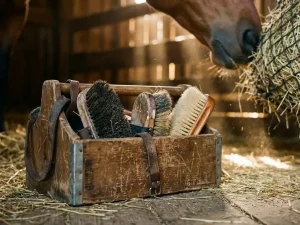 Houten verzorgingsbox vol paardenborstels in stal, paard op achtergrond, warm licht door houten balken