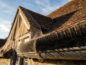 Zwarte borstelvogelverschrikker en beschermend gaas op verweerd pannendak tegen blauwe hemel