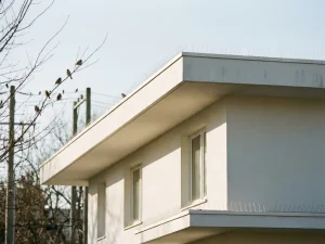 Wit modern huis met vogelwering spikes op dakrand, vogels zitten veilig in nabije bomen, professionele architectuurfoto