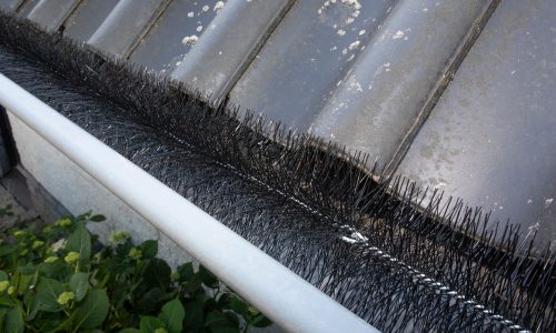 Dakgootborstel in goot