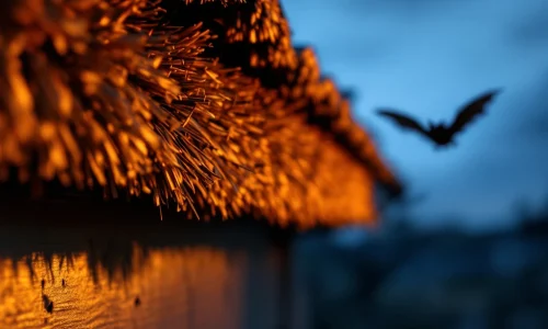 Vleermuis-afweerborstel op daklijn bij schemering met stijve nylon vezels die naderende vleermuis tegenhouden