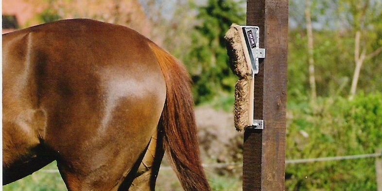 Hoe plaats je paardenborstels?