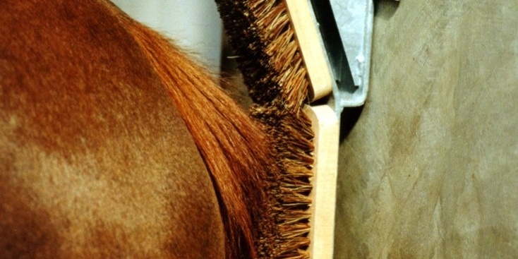 Paardenborstelframe – schuren zonder beschadiging